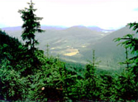 Lokalizajca ZPiChD Beata