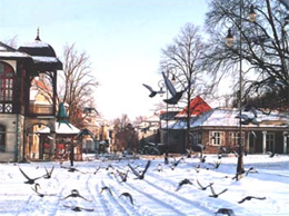 Lokalizajca ZPiChD Beata
